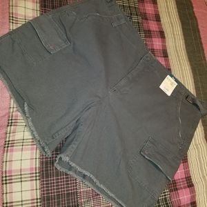 Terra & Sky gray cargo shorts